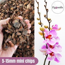 ORCHID BARK Pine Mini Chips
