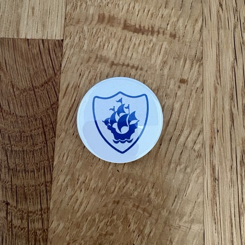 Blue peter badge button - peter,
