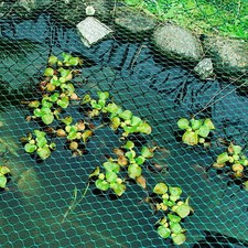 Garden Pond Netting Anti Bird Safety Net Plants Veg Fruit Protection 4m X 10m