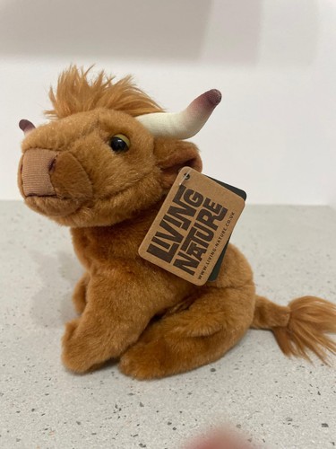 Living nature highland cow - living,