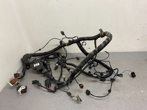 Freelander engine wiring - freelander,