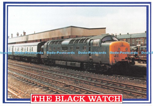D093752 the black watch - d093752,