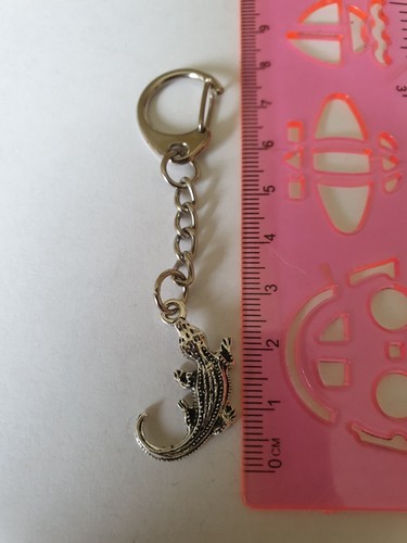 Lizard keyring - , keyring.
