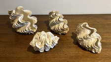 Giant Clam Shells - 4 complete shells - see description for measurements