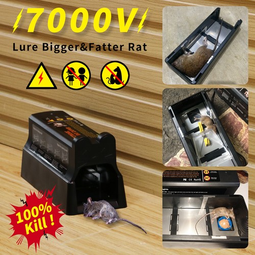 Upgraded electronic mouse trap - electronic,