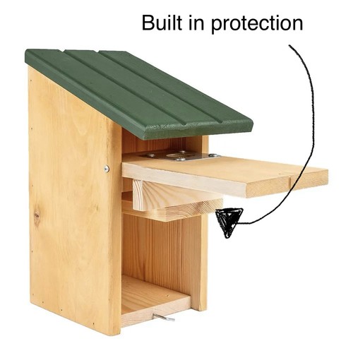 Seattle predator protection - seattle,