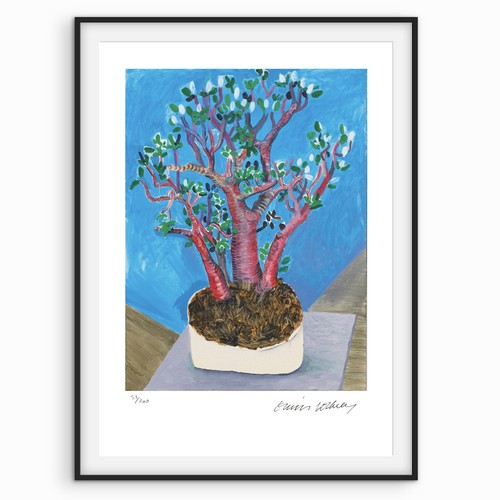 David hockney signed jade - hockney,