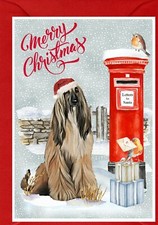 Afghan Hound Dog A6 (4" x 6") Christmas Card - Blank inside - by Starprint 