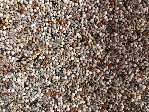 Deluxe foreign finch seed - deluxe,