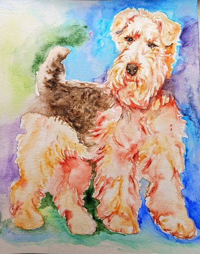 Airedale terrier dog - airedale,