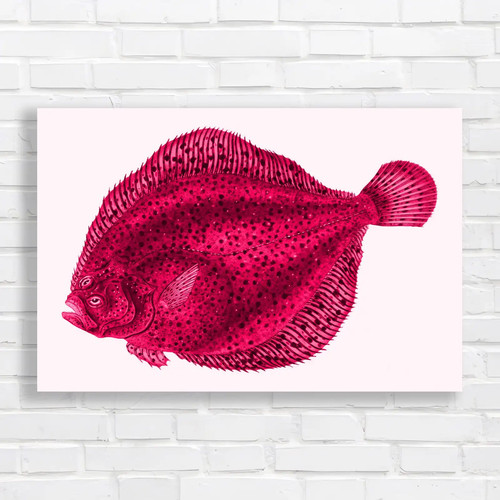 Exotic fish underwater nature - underwater,