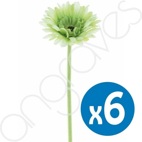 Set sage green small - 6, head