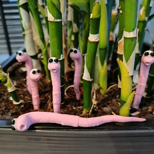 5pcs worm plant - 5pcs,