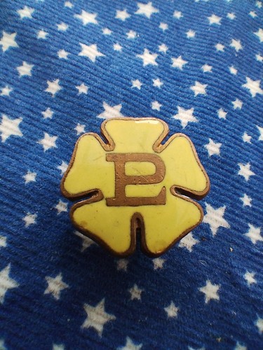 Vintage primrose league badge - vintage,