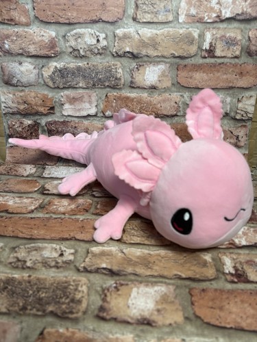 The bear factory pink - the,