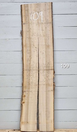 Elm live edge - edge, x