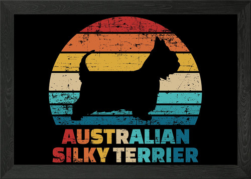 Australian silky terrier - silky,