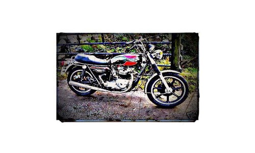1977 triumph t140 bike - 1977,