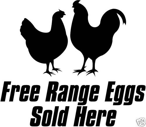 Free range eggs - range, sold