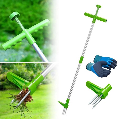 Standing weed puller - weed,