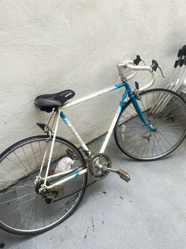 Raleigh esprit road bike - raleigh,