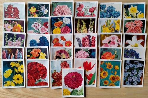 Wills cigarette cards garden - wills,