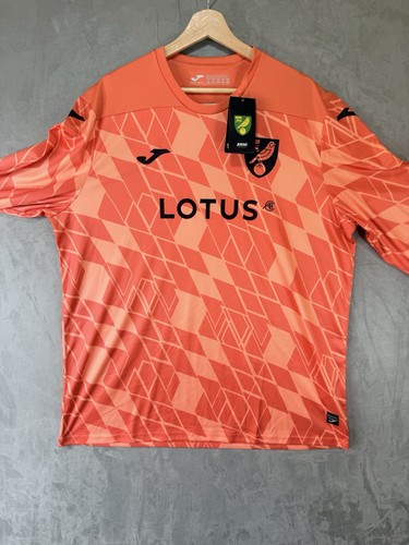 Norwich city 2023 24 - city, fc