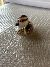 Royal Crown Derby Swimming