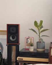 Rogers LS3/5A BBC Monitor Speakers - 60th Anniversary Edition - Rosewood Finish