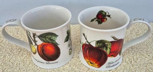 Dunoon botanical fruits pair - fruits,