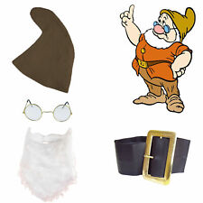 Doc Set - Snow White Seven Dwarfs Fancy Dress Hat Beard Belt Glasses Cartoon