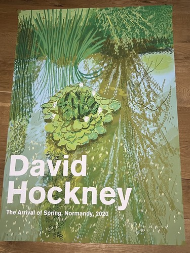 David hockney exhibition - david,
