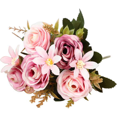 Camellia rose chrysanthemum - rose,