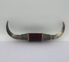 Vintage Mounted Bull Horns