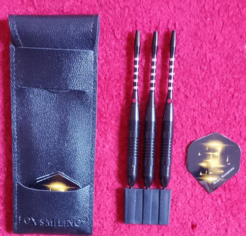 Set darts in leather - 22, g