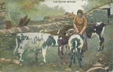 PC48312 The Foster Mother. M Caw. 1906. B. Hopkins