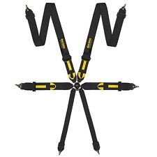 RSA Pro 6 Point Saloon Car FIA