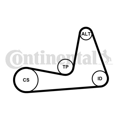 Ribbed belt set for renault - v-ribbed,