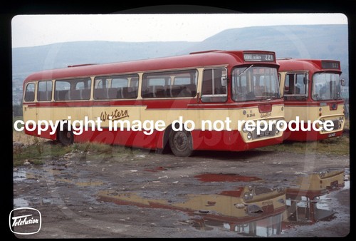 Original bus slide western - -,