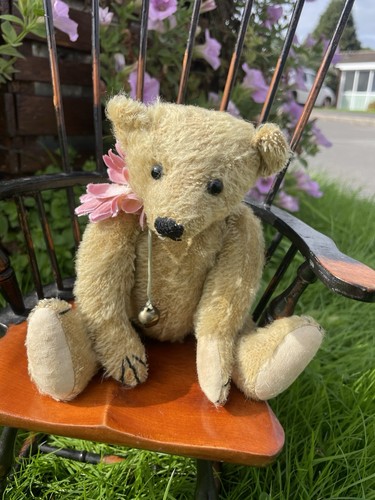 Forget not teddy bear - not,