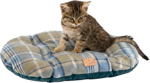 Cat and dog padded cushion - cat,