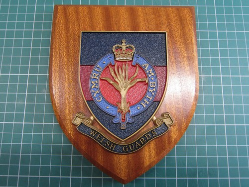 Welsh guards regiment hand - welsh,