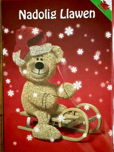 Nadolig llawen merry christmas - llawen,