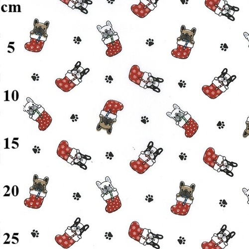 Metre cute dog - metre, in