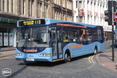 Bus photo bluebird middleton - bluebird,