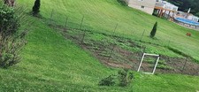 Push-Pull Hoe for Weeding &