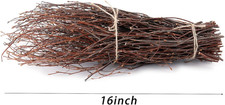SOUJOY 100 PCS Birch Twigs for