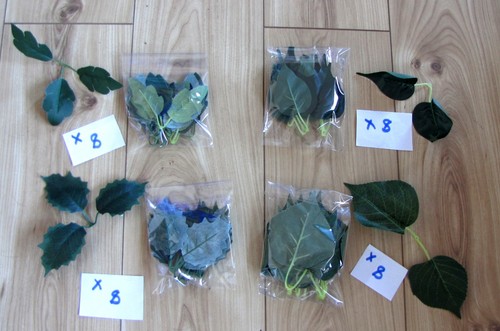 Craft buddy forever flowers - buddy,