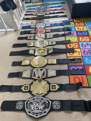 Wwe kids wrestling belts - 15,