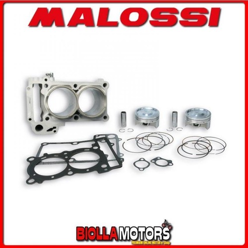 3113666 cylinder malossi - 3113666, 560cc
